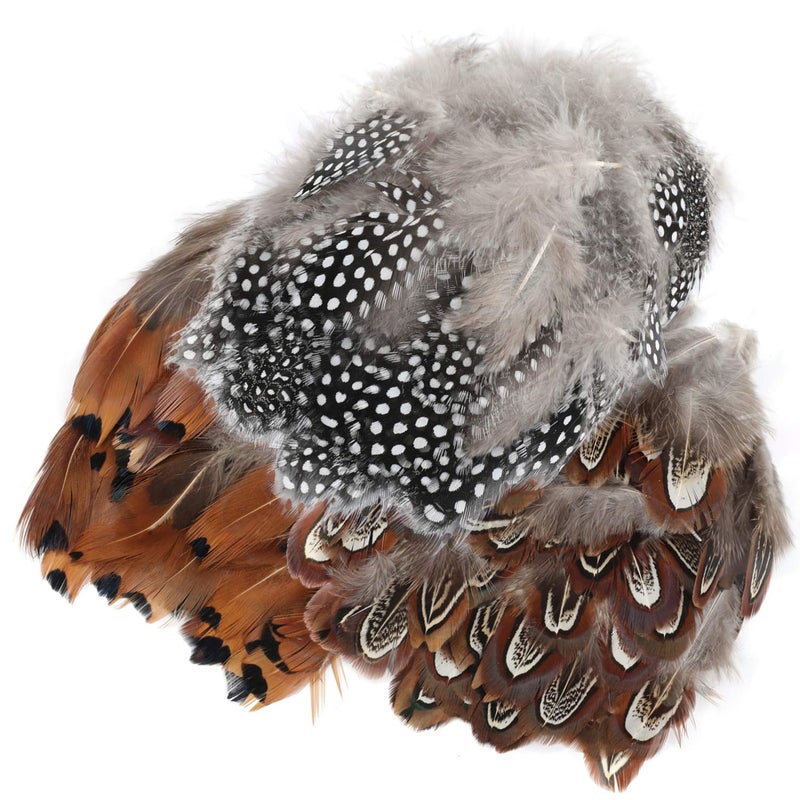 MWOOT 300PCS Spotted Chicken Feathers Natural Pheasant Plumage Feathers for DIY Crafts, Clothing, Jewelry, Wedding, Birthday Party, Dream Catcher Decoration - Image 2